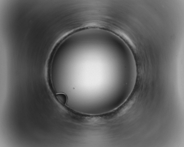 X0000092240991200709141120