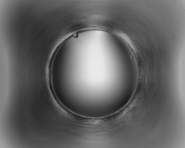 X0000092241003200709141120