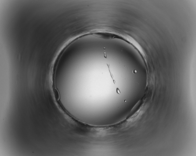 X0000092241005200709141120