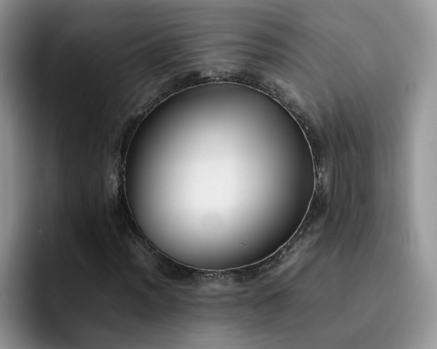 X0000092241012200709141119