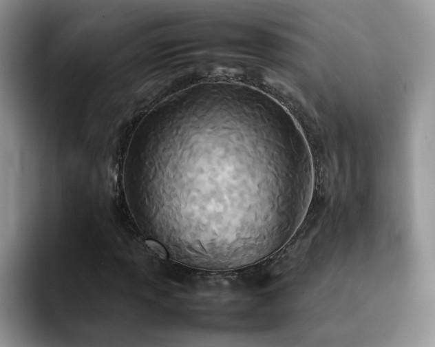 X0000092241013200709141120