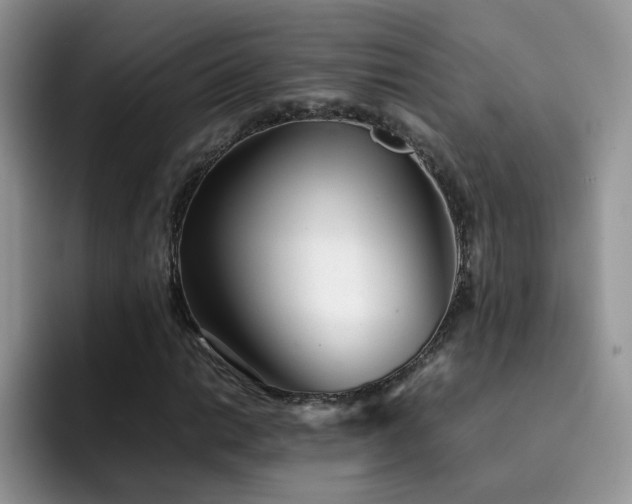 X0000092241014200709141120