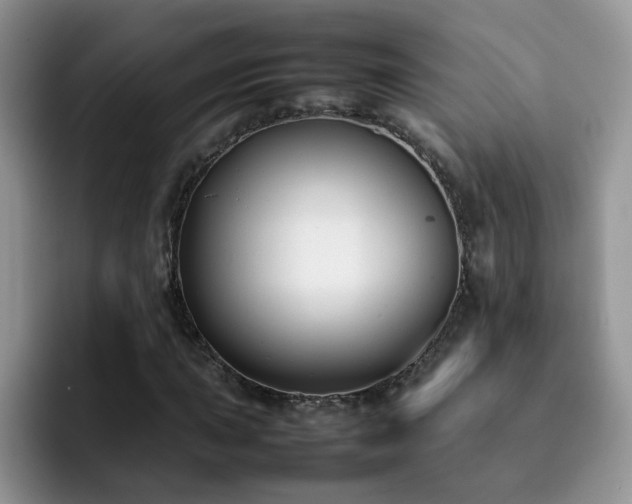 X0000092241015200709141120