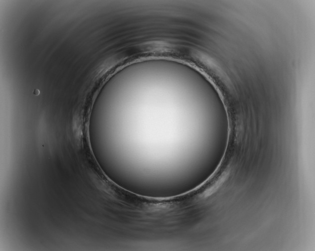 X0000092241017200709141120