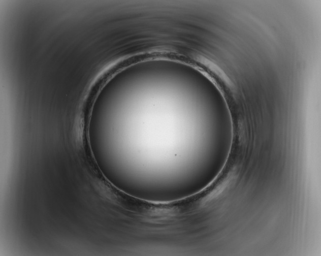 X0000092241021200709141120