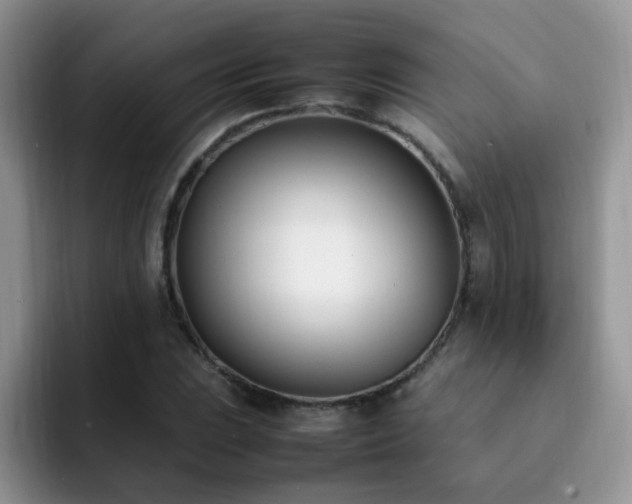 X0000092241023200709141120