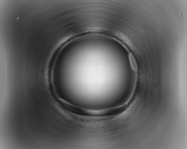 X0000092241026200709141120