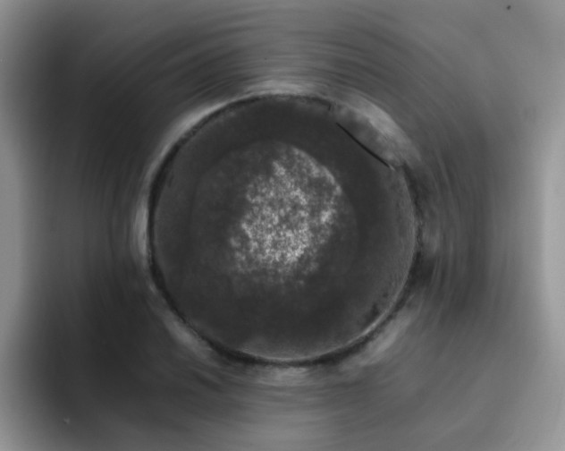 X0000092241030200709141120