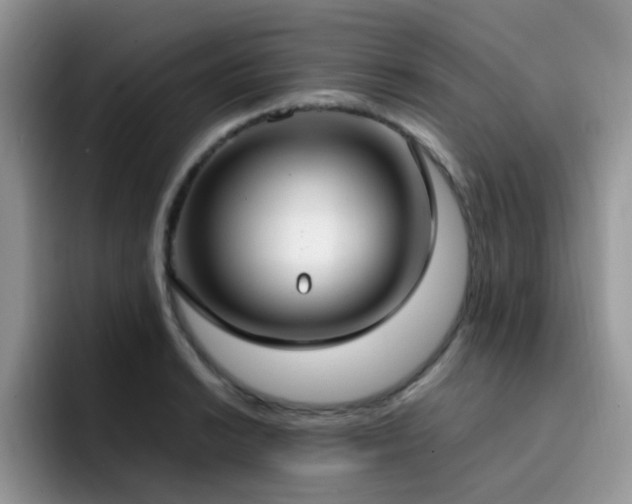 X0000092241038200709141120