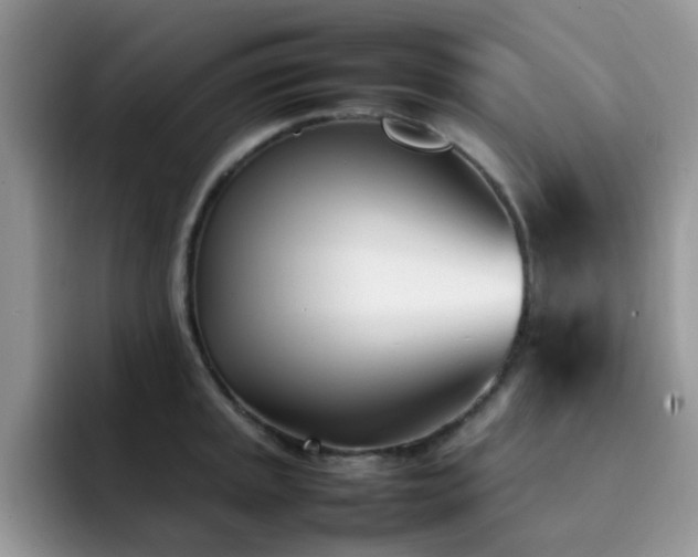 X0000092241045200709141120