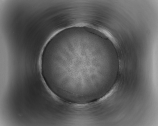 X0000092241046200709141120