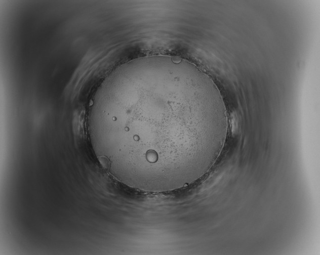 X0000092241059200709141119