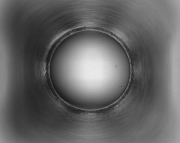 X0000092241070200709141119