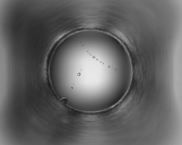 X0000092241071200709141119