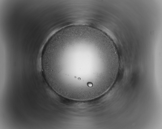 X0000092241075200709141119