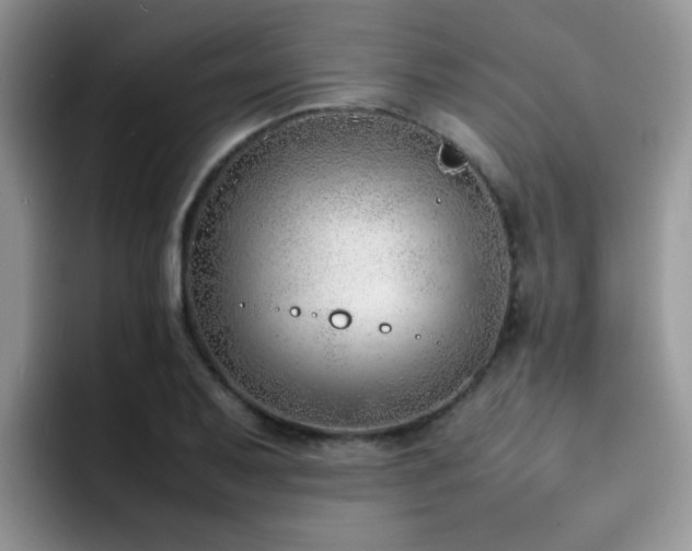 X0000092241079200709141119