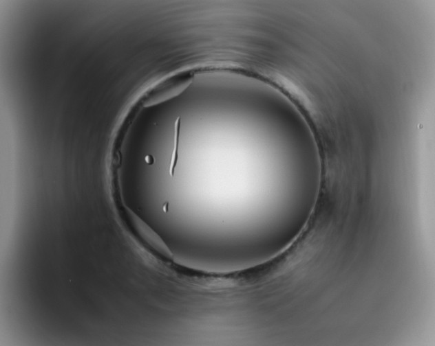 X0000092241085200709141119