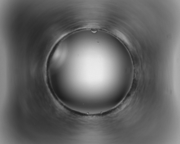X0000092241087200709141119