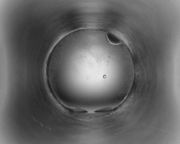 X0000092241091200709141119