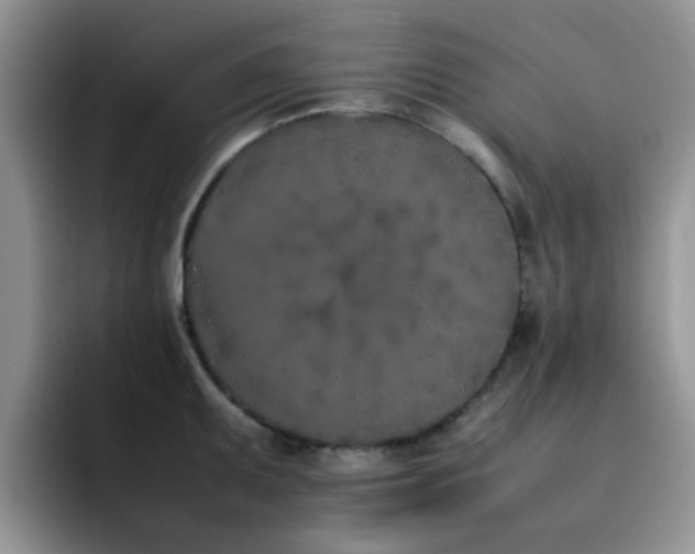 X0000092241095200709141119