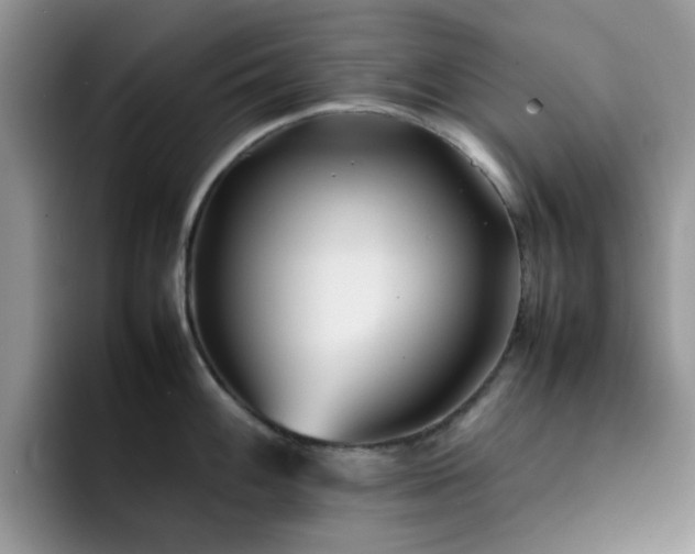 X0000092241100200709141119