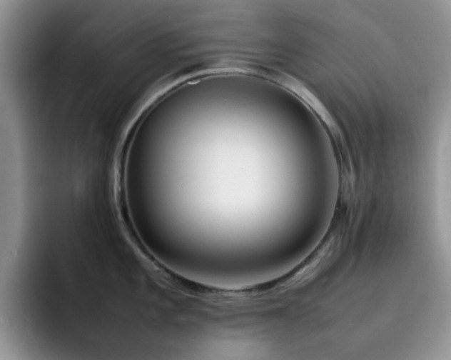 X0000092241101200709141119