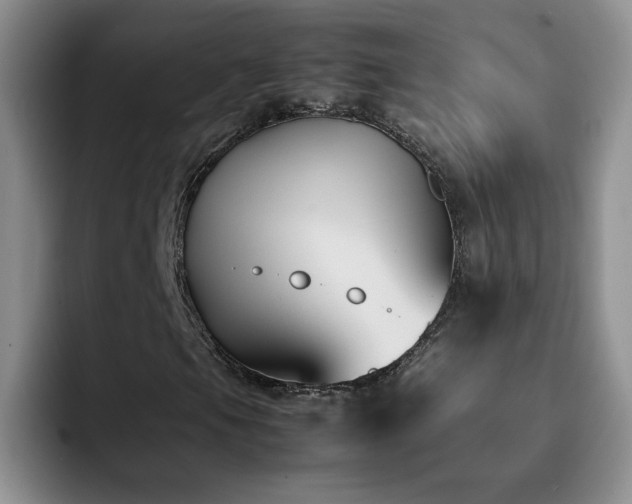 X0000092241105200709141118