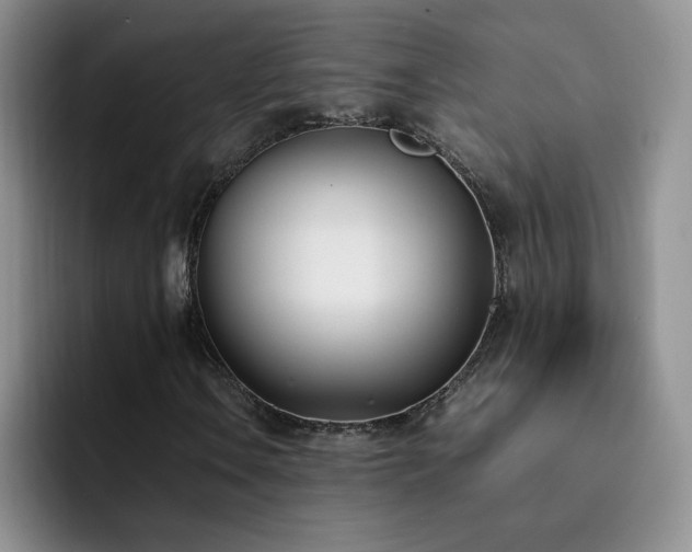 X0000092241106200709141118