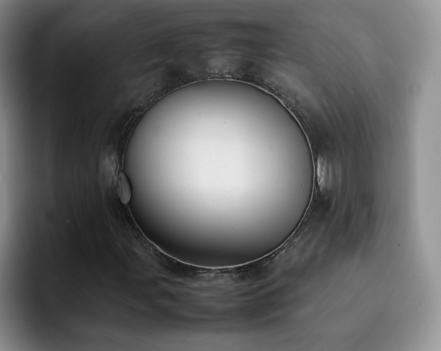 X0000092241107200709141118