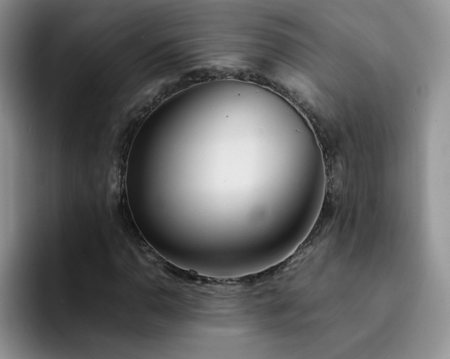 X0000092241110200709141118