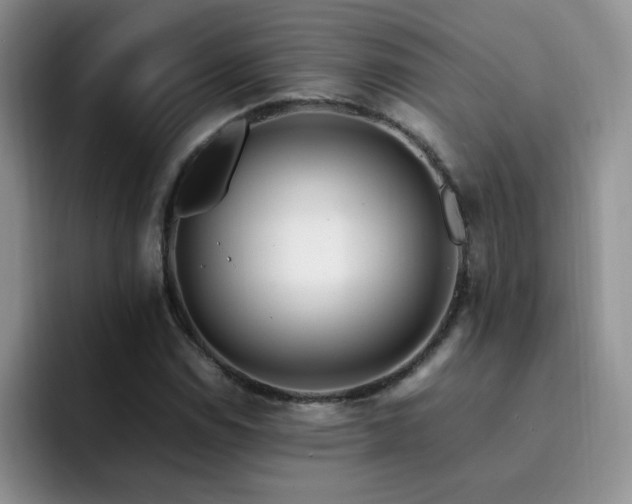 X0000092241114200709141118