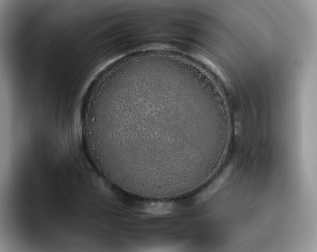 X0000092241117200709141118