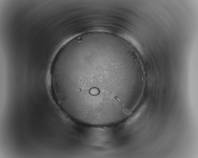 X0000092241125200709141119