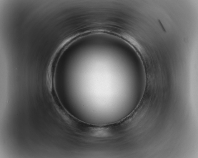 X0000092241127200709141119