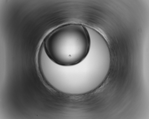 X0000092241128200709141119