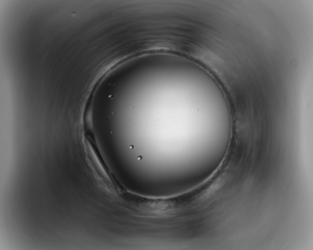X0000092241129200709141119