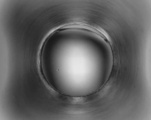 X0000092241144200709141119