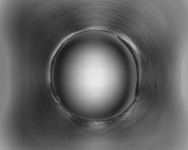 X0000092241148200709141119