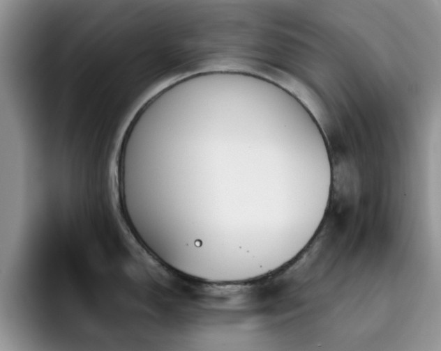 X0000092241150200709141119