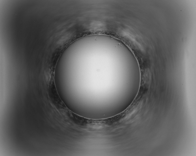 X0000092241157200709141118