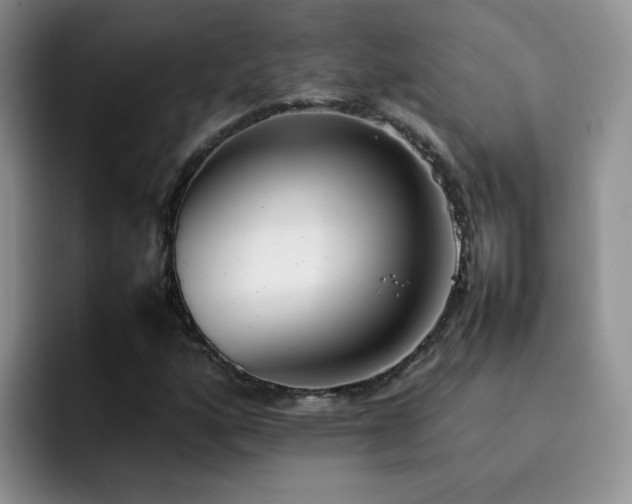 X0000092241160200709141118