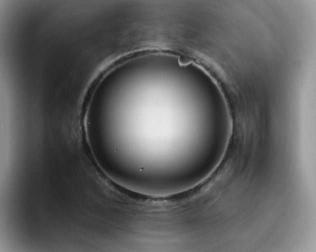 X0000092241168200709141118