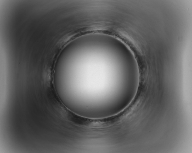 X0000092241169200709141118