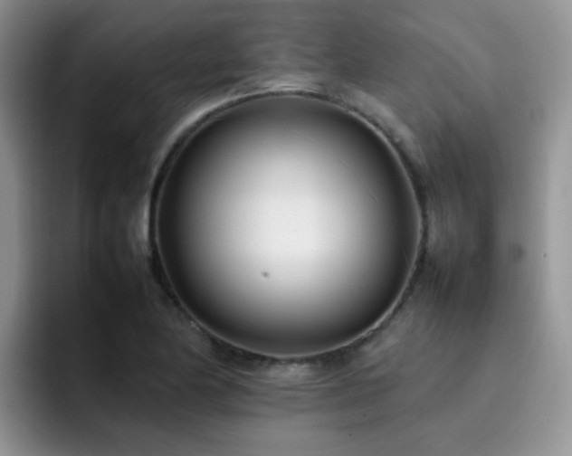 X0000092241174200709141118