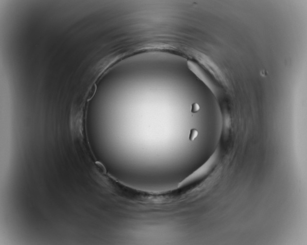 X0000092241177200709141118