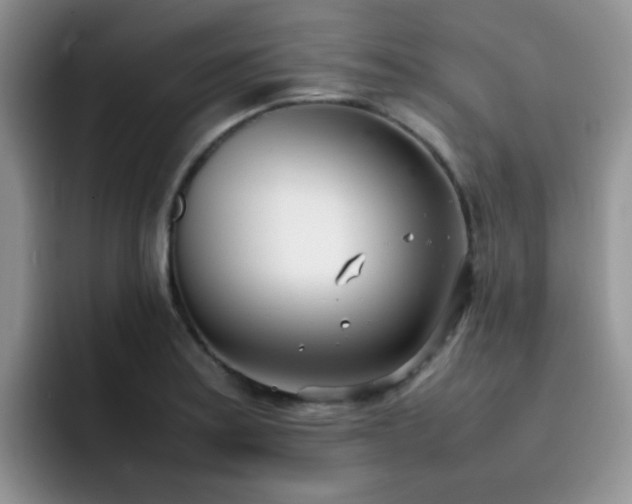 X0000092241179200709141118