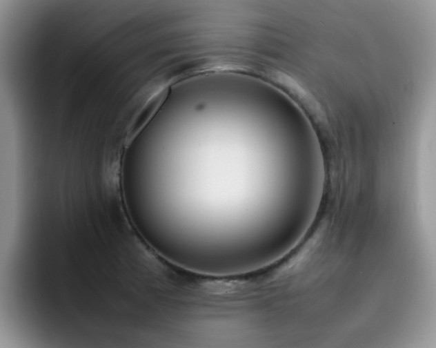 X0000092241185200709141118