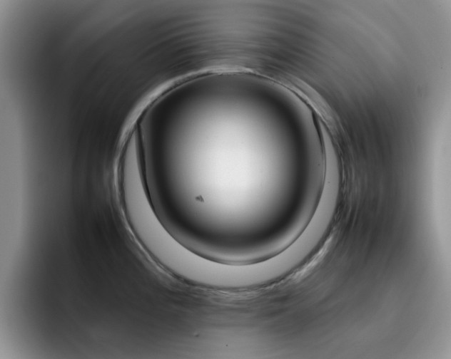 X0000092241196200709141118