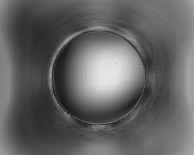 X0000092241199200709141118