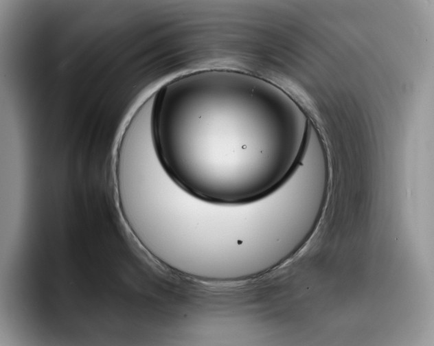 X0000092241200200709141118